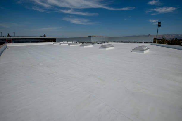 Best Skylight Installation and Repair  in Botkins, OH
