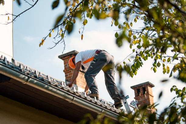 Best Commercial Roofing Services  in Botkins, OH