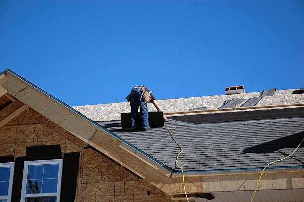 Best Roof Ventilation Installation  in Botkins, OH