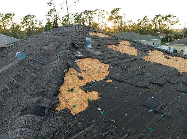 Best Hot Roofs  in Botkins, OH